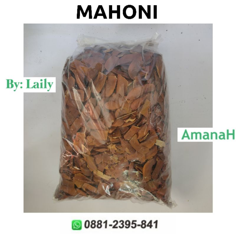 

BIJI MAHONI 1 KG Kualitas Premium