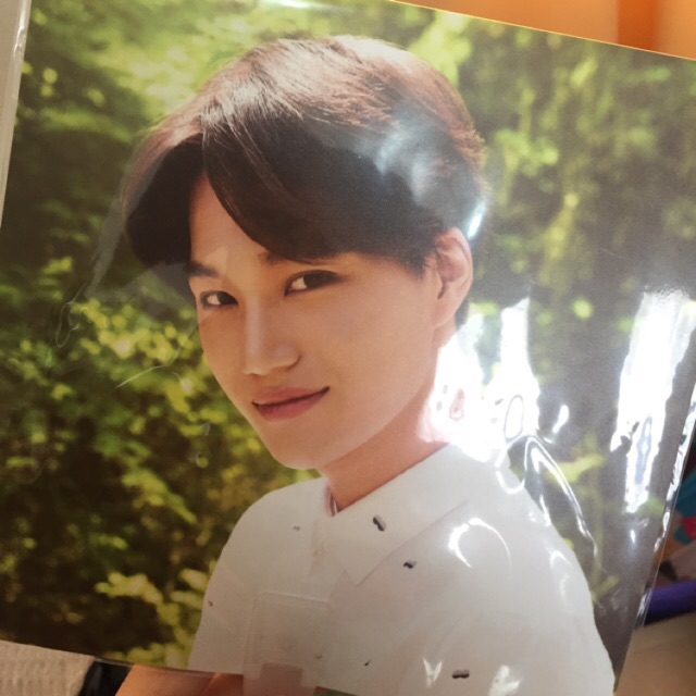 Hand fan & standee nature republic exo kai luhan sehun do baekhyun xiumin suho