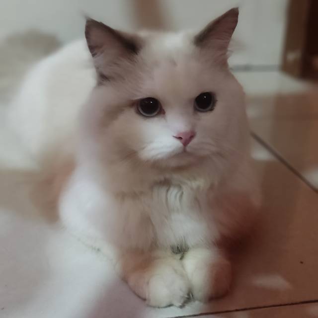euis_helawati