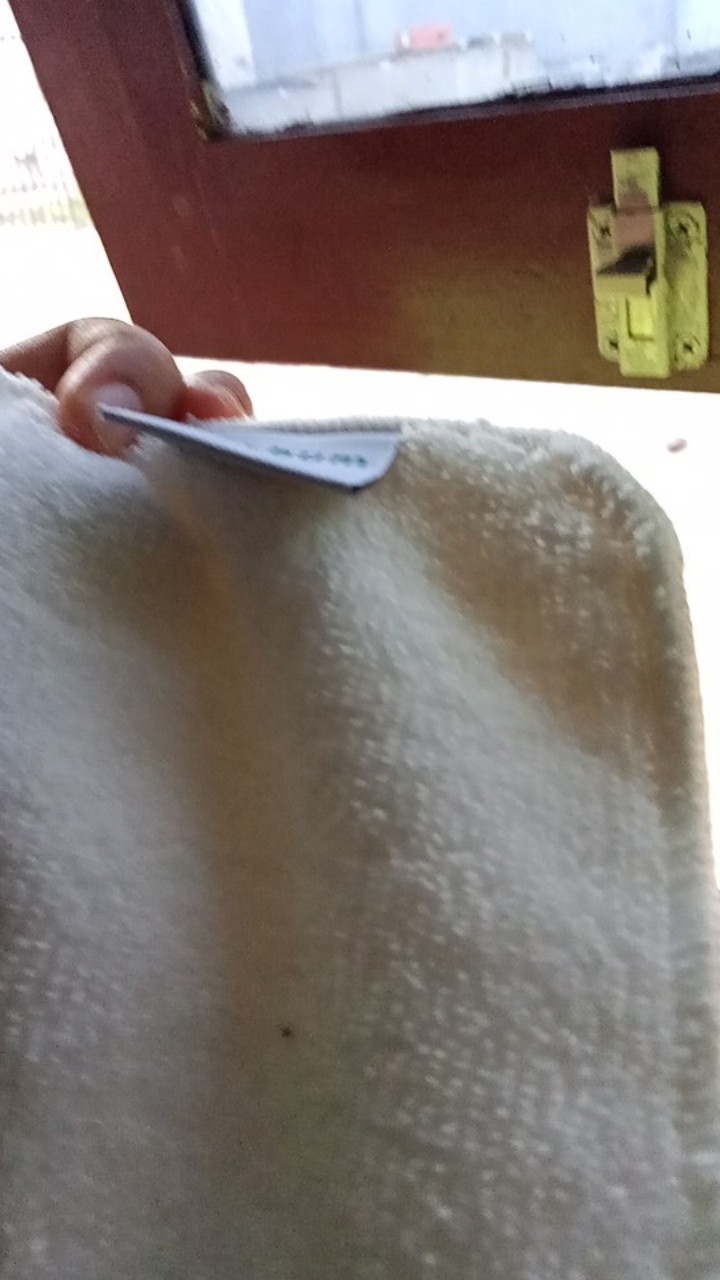 Insert Ecobum Hemp, Birdy, Bamboo Dan Microfiber