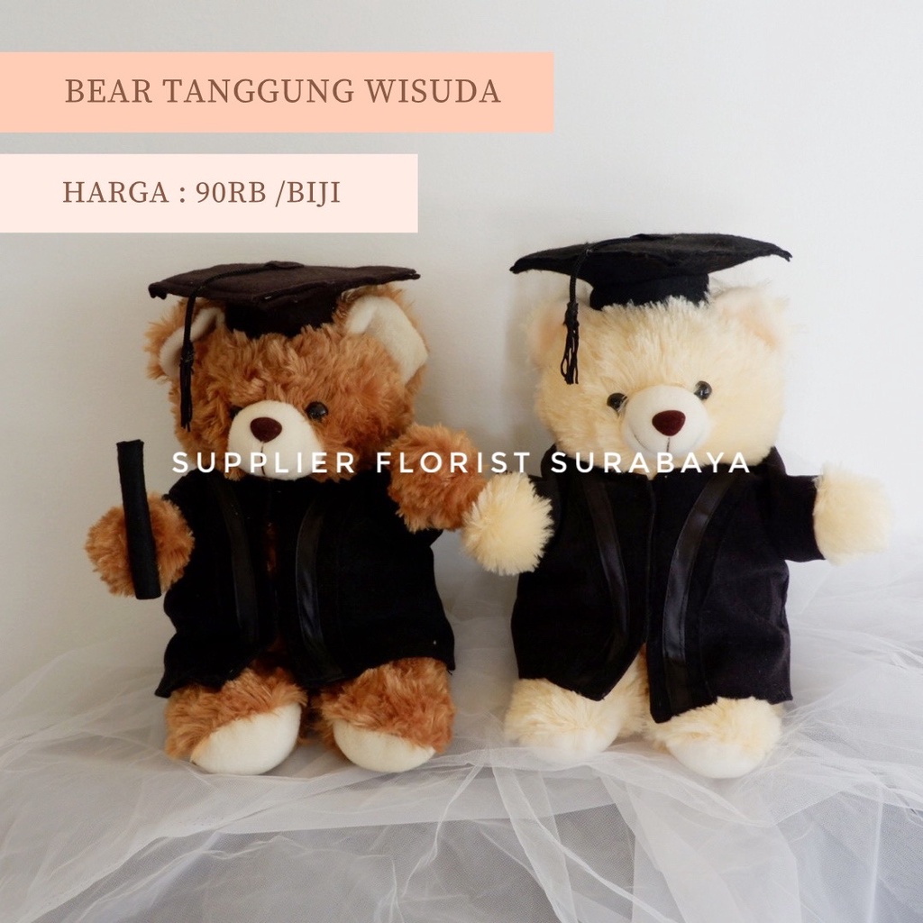 BONEKA BEAR WISUDA HADIAH WISUDA BONEKA WISUDA GRADUATION GIFT BROWN WHITE KADO WISUDA