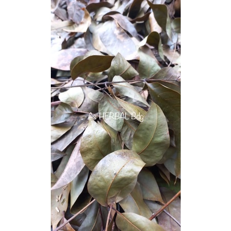 

Daun mahoni kering asli 200 gram-az