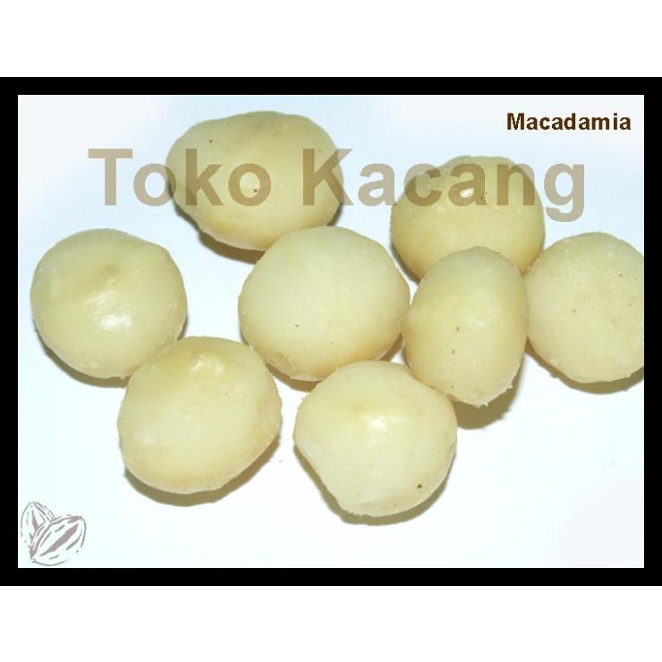 

DISKON TERBATAS !!! KACANG MACADAMIA MENTAH 1KG TERLARIS