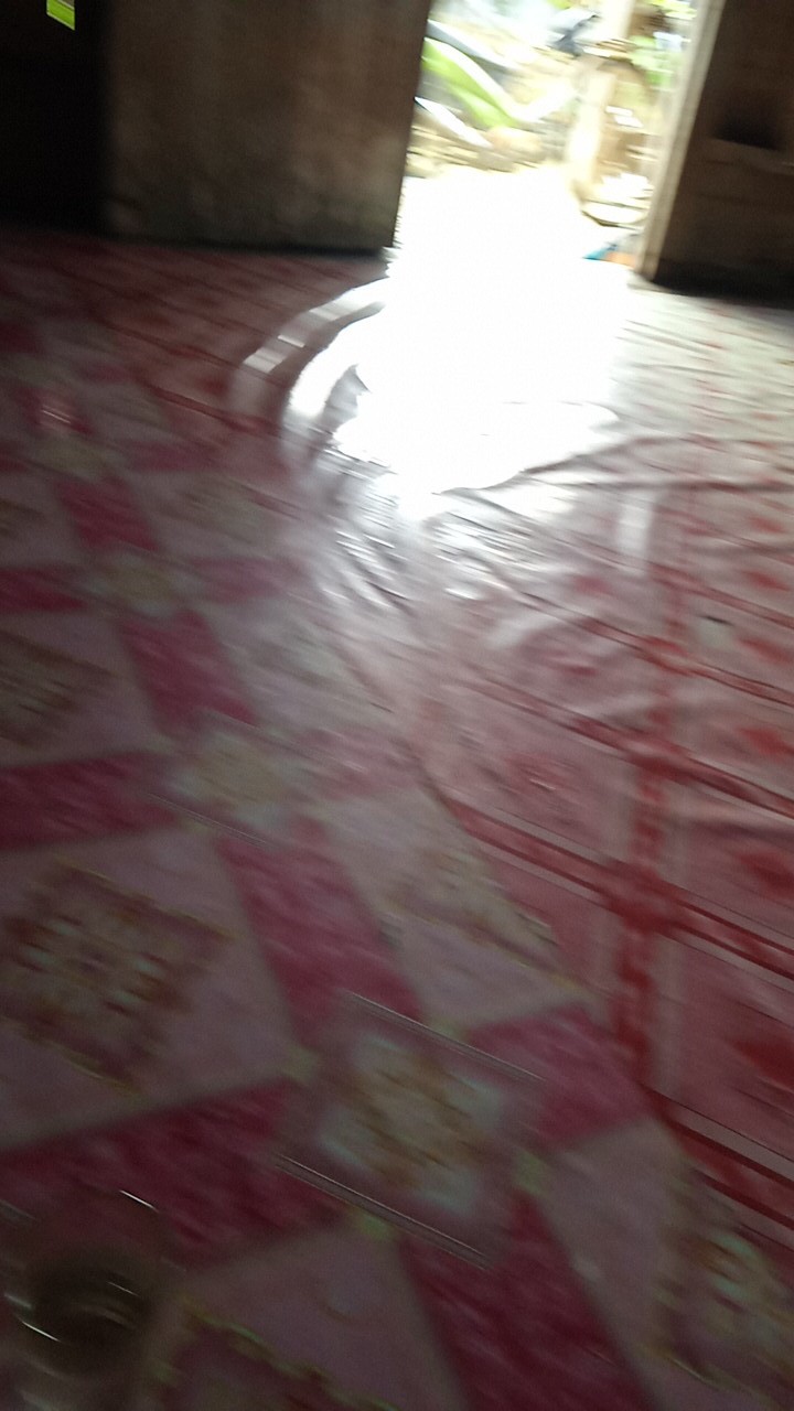 Promo 20.20 Bswart Batik Hrb026 Kenongo Padi Pekalongan M L Xl Batik Pria Murah Modern Grosir