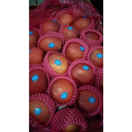 

Apel Fuji premium