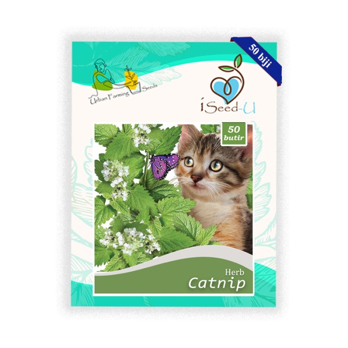 Benih-Bibit Catnip (iSeed-U)