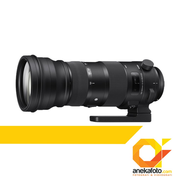 Sigma 150-600mm f/5-6.3 DG OS HSM Sports Lens