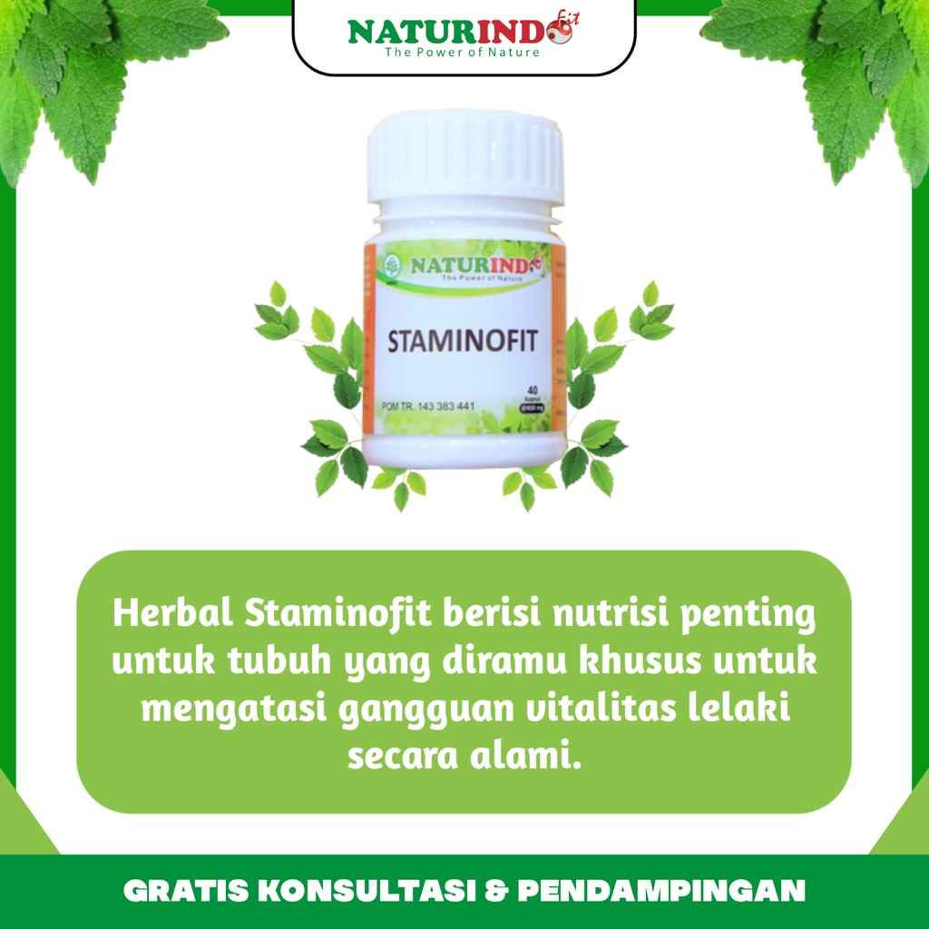 Obat Herbal Ejakulasi Dini Atasi Sperma Encer Lemah Syahwat Disfungsi Ereksi  Staminofit Naturindo Bpom Halal Tanpa Efek Samping-4