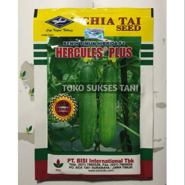 Bibit Benih Mentimun Lumintu Gold F1 Cap Sebelas Di Lapak Mitra