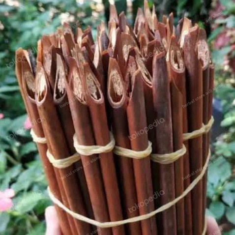 

pena handam kaligrafi murah siap pakai - panjang 40cm