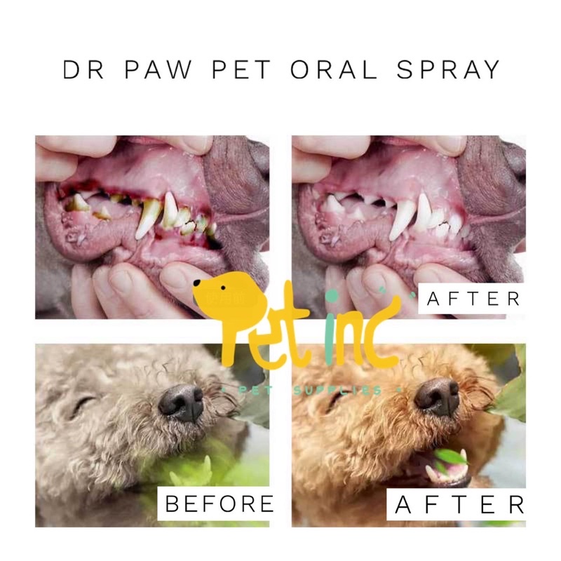 Dr paw pet oral spray