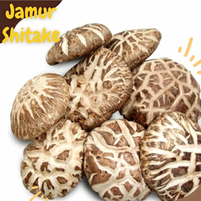 

Jamur Shitake Hioko Payung Xiangku | Xiangkhu Kering Dried Dry Mushroom | 65 Gram