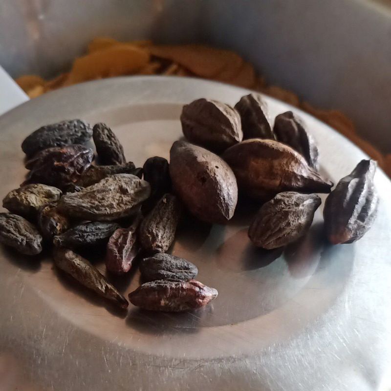 

Biji Kadeka dan Kadeki 100gr