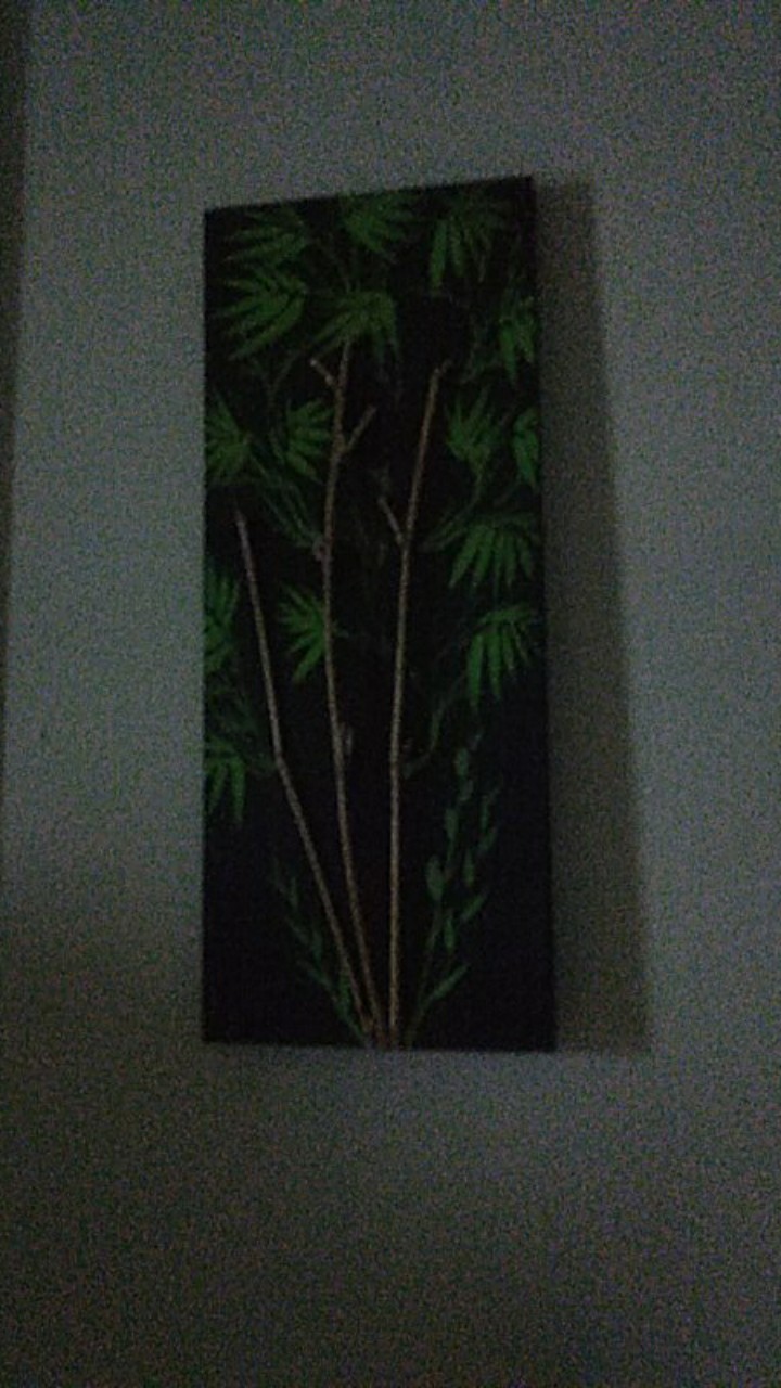 Lukisan 3d Pohon Bambu Minimalis