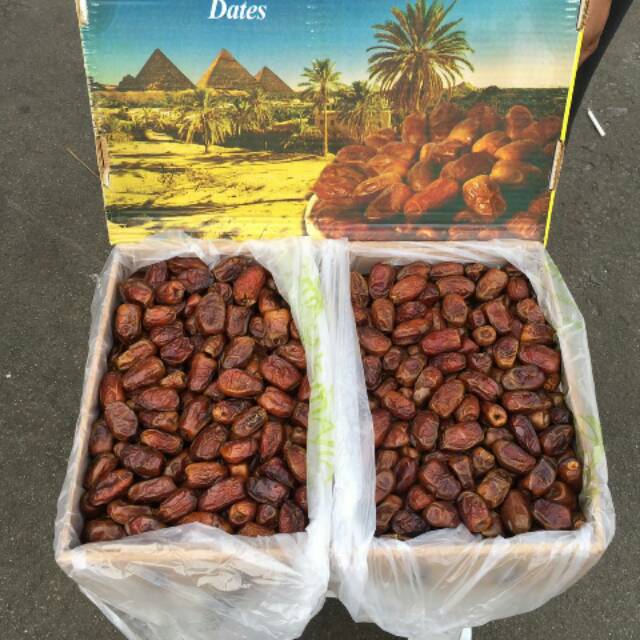 

Kurma Al Amal