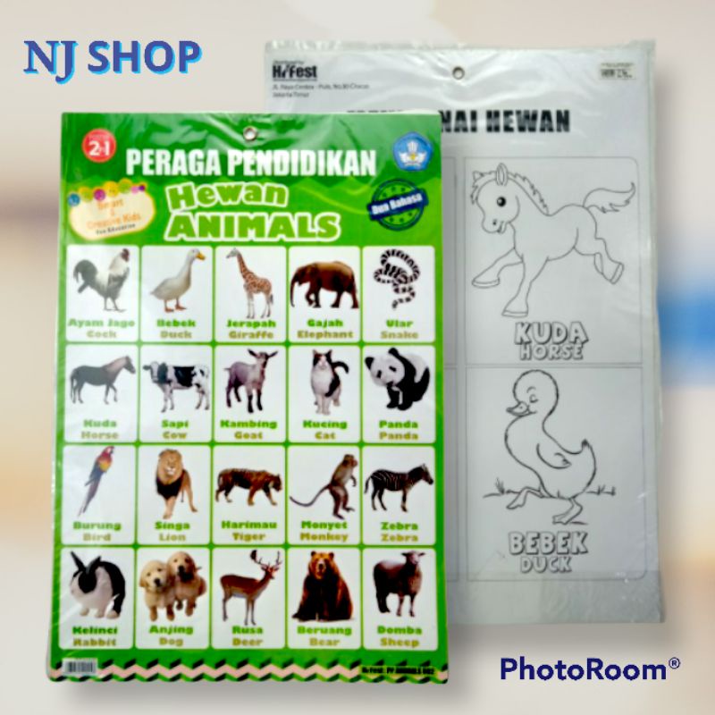 Jual Poster Original Poster Peraga Pendidikan Hewan In Shopee