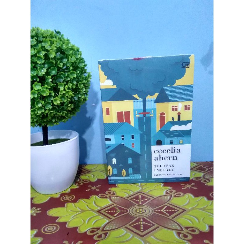 Novel The Year I Met You by Cecilia Ahern