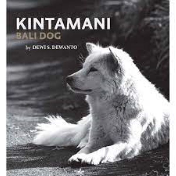 Buku Kintamani Bali Dog