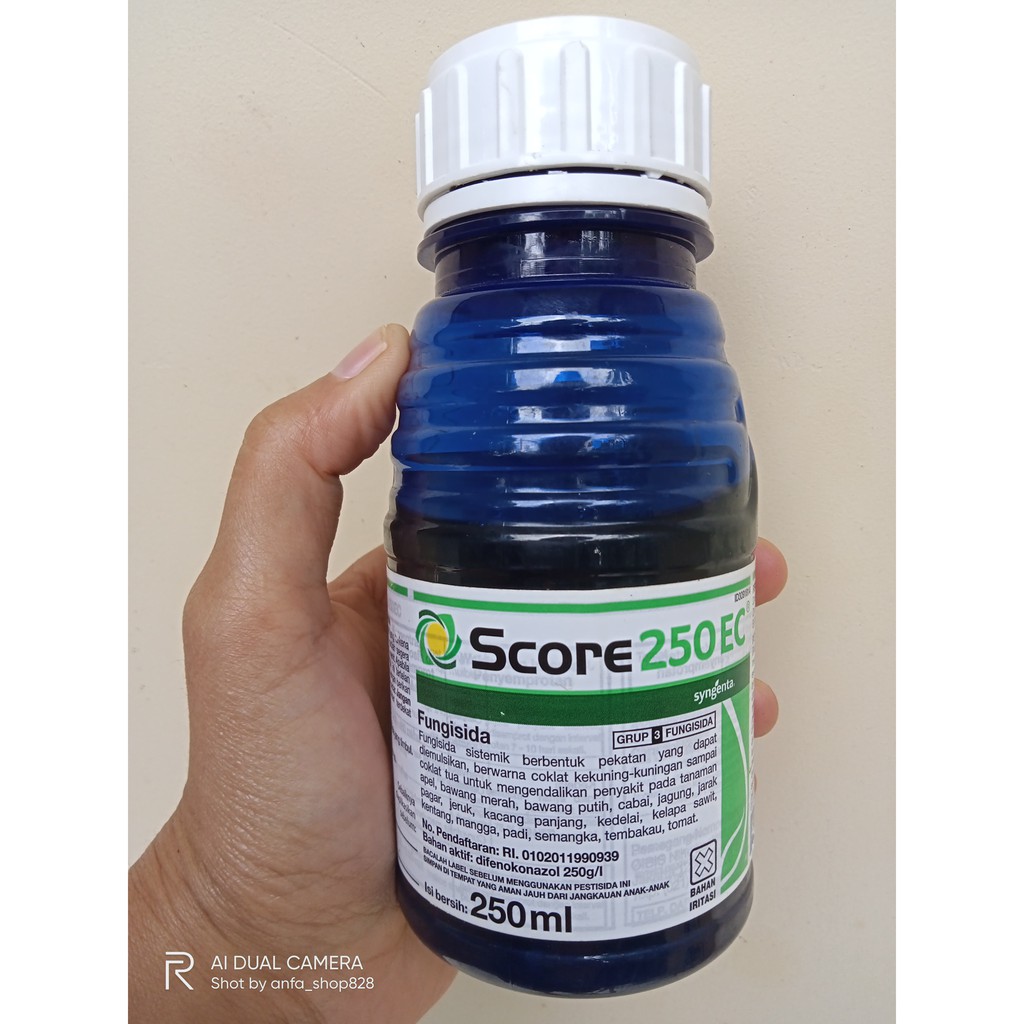 SCORE-FUNGISIDA PEMBASMI TANAMAN