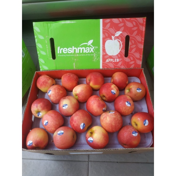 

Apel Pasific Rose New Zealand 1 Dus (18 Kg) Fresh Import