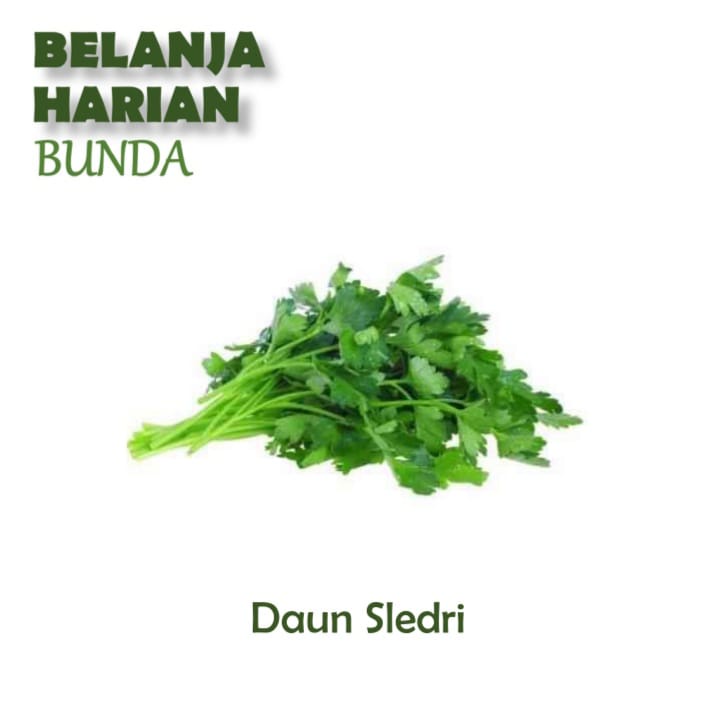 

daun seledri 100gr