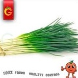 

DAUN BAWANG CUNG 200 GRAM