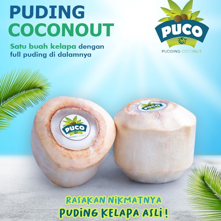 

PUCO PUDING KELAPA ASLI PUDDING COCONUT DAILY FOOD