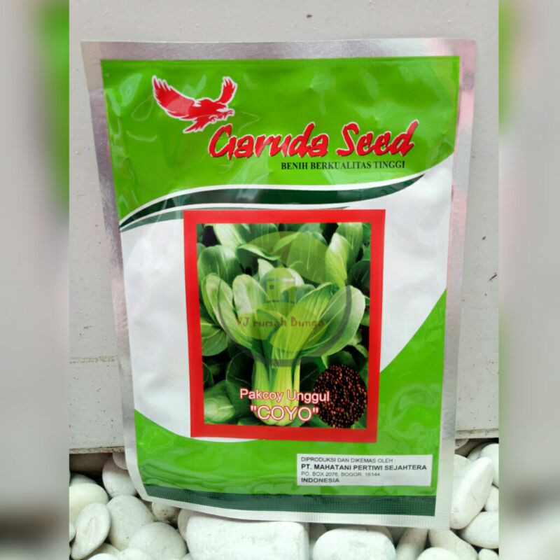 Benih sayuran pakchoy isi 10gram garuda seed