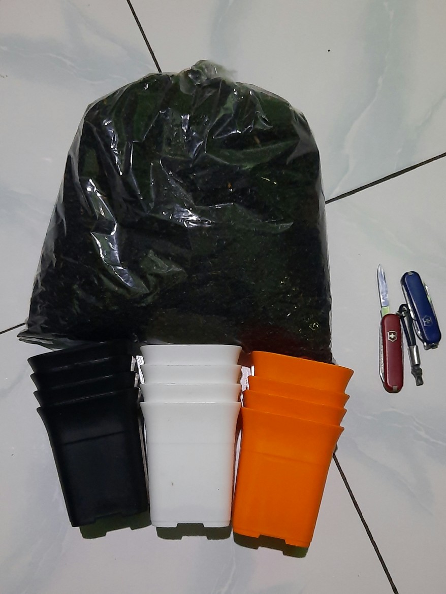 Pot Bunga Tanaman Nkt Kotak 7 Cm