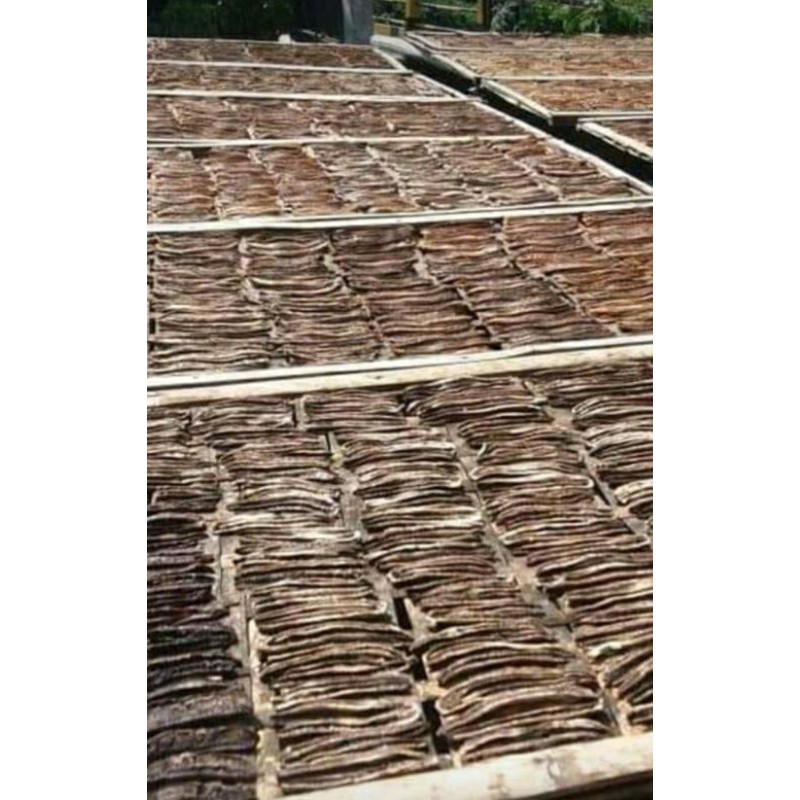 

SALE PISANG AMBON / CARAMEL
