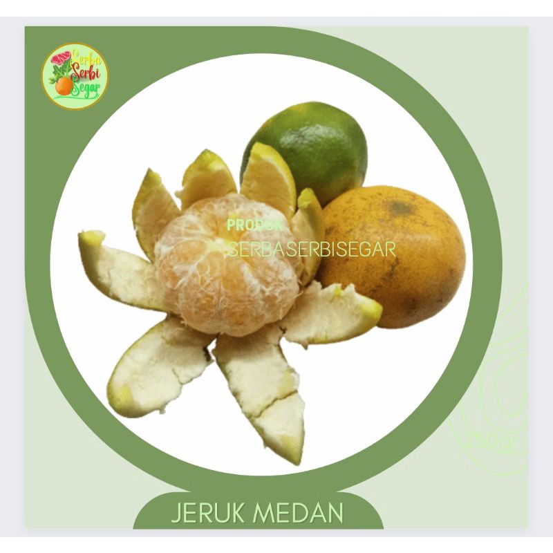 

JERUK MEDAN SEGAR BESAR SEDANG KECIL OKE