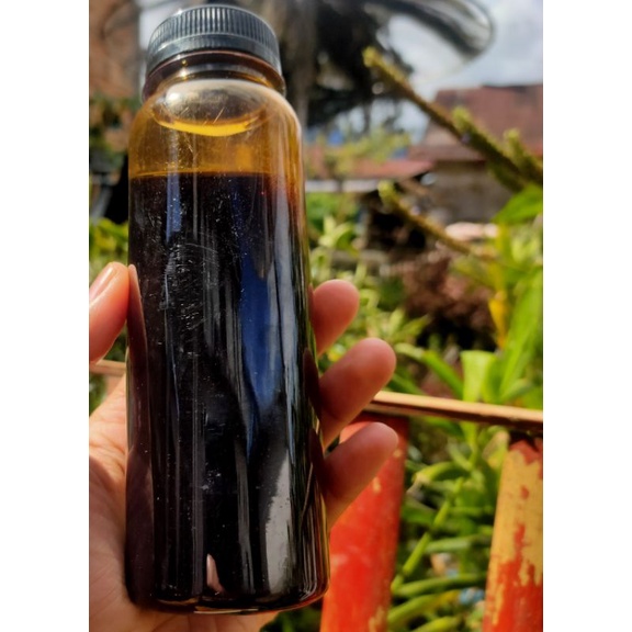 

Madu Hitam Akasia