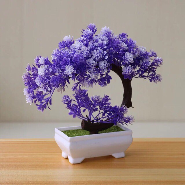 Pohon Bonsai Artificial / Pohon Bonsai Plastik / Bonsai Plastik / Bonsai Sabit / Pohon Bonsai Mini