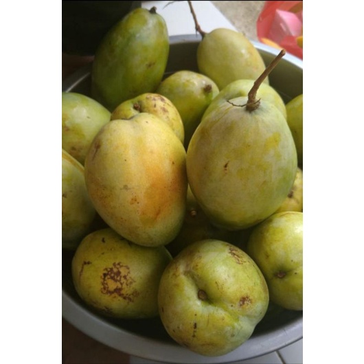 

fresh BUAH leci mangga kelengkeng duku sirsak srikaya semangka kiwi salak manggis rambutan pear pir