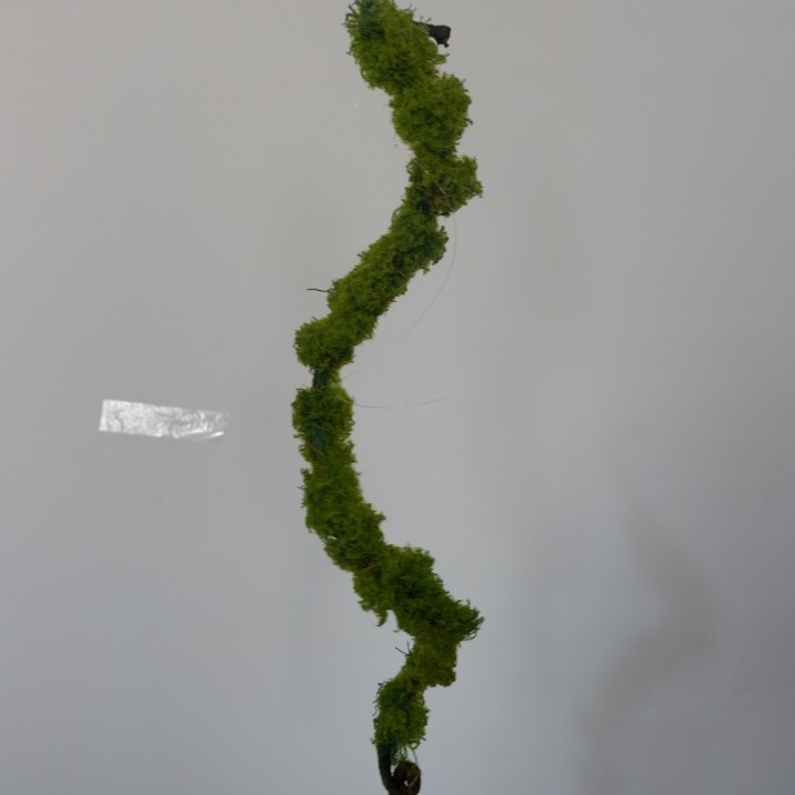 WANFlower Ranting Lumut Hijau 1M * HIJAU