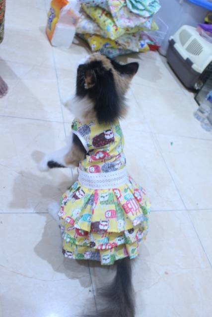 Dress kuning motif gambar kucing lucu untuk kucing dan anjing / baju kucing murah size S M L XL