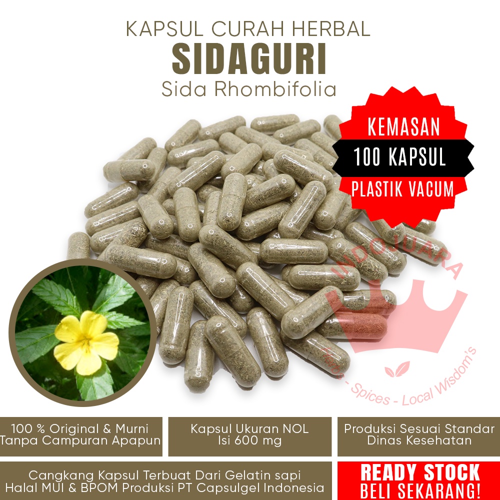 

100 Kapsul SIDAGURI Herbal Penurun Berat Badan Gangguan Haid Sembelit