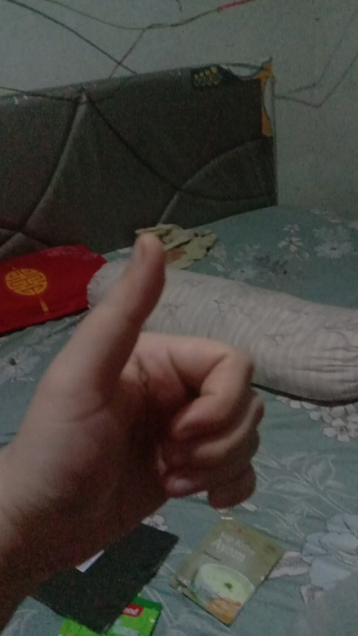 Mangkok Keramik Kaibon 15cm Tebal Tahan Panas