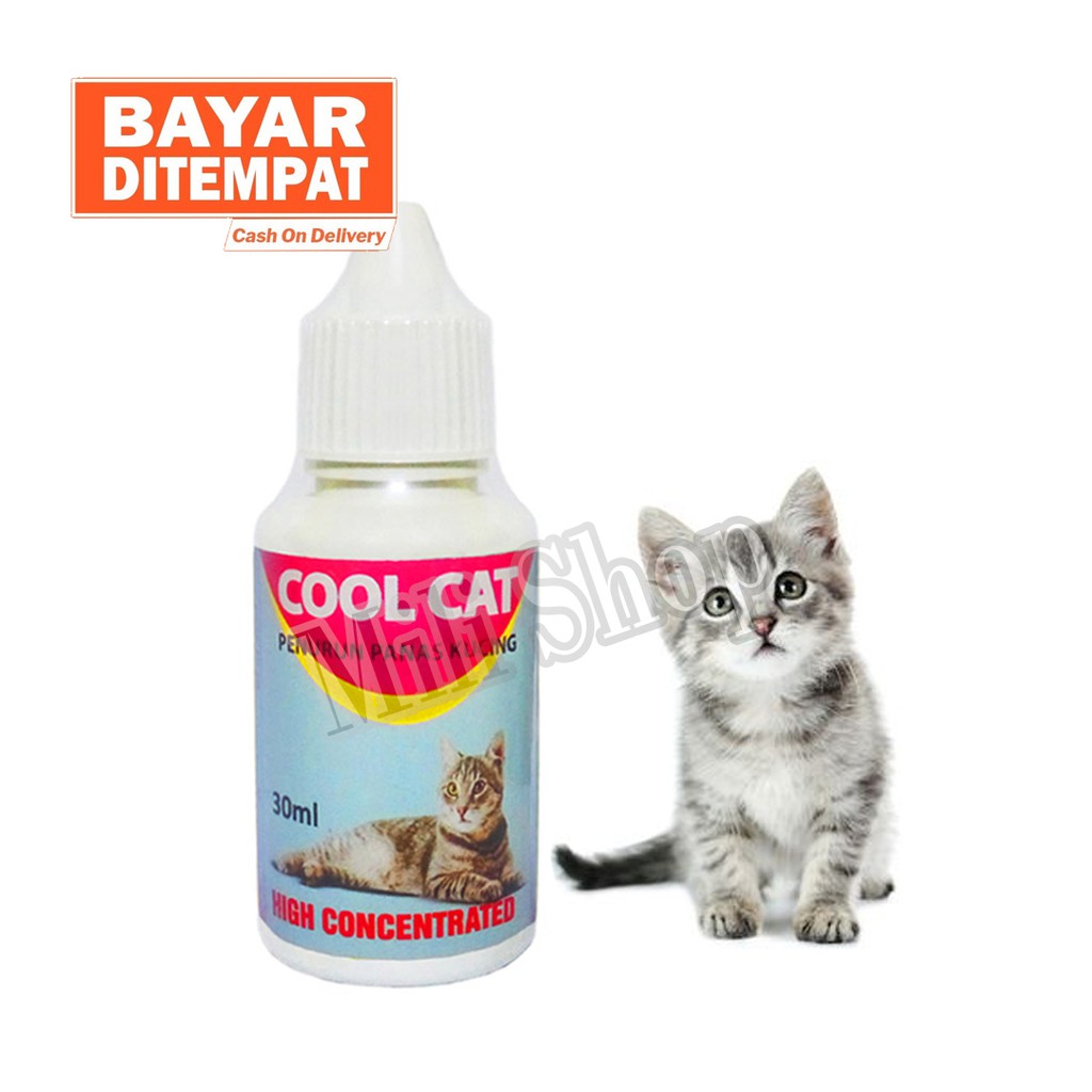 OBAT PENURUN PANAS KUCING SAKIT DEMAM BACTERI VIRUS - COOL CAT