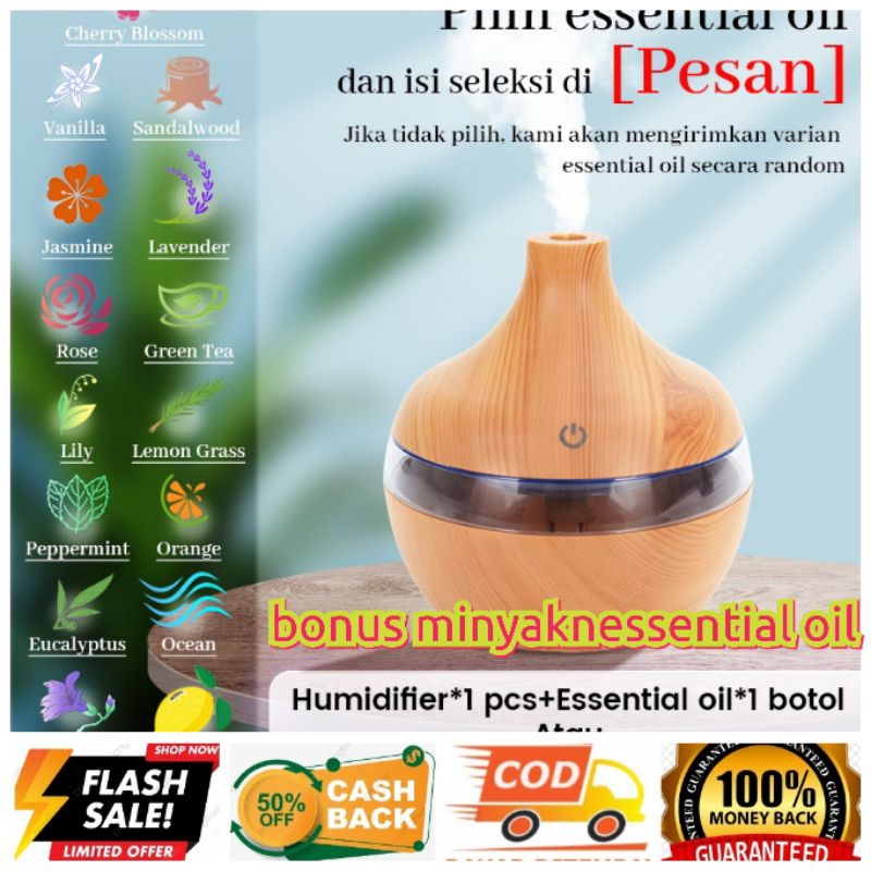 Humidifoer Ruangan 300ml free minyak Essential Diffuser