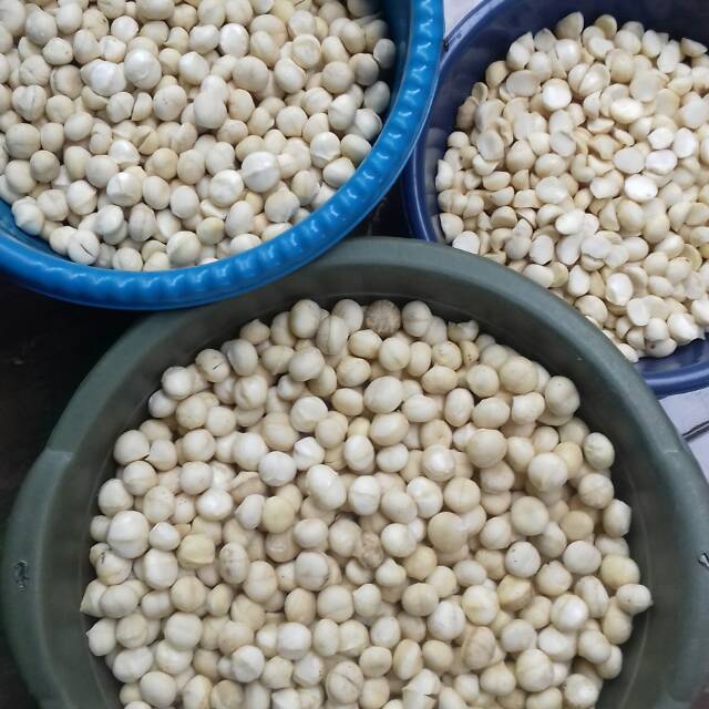 

Makadamia 340K / kg