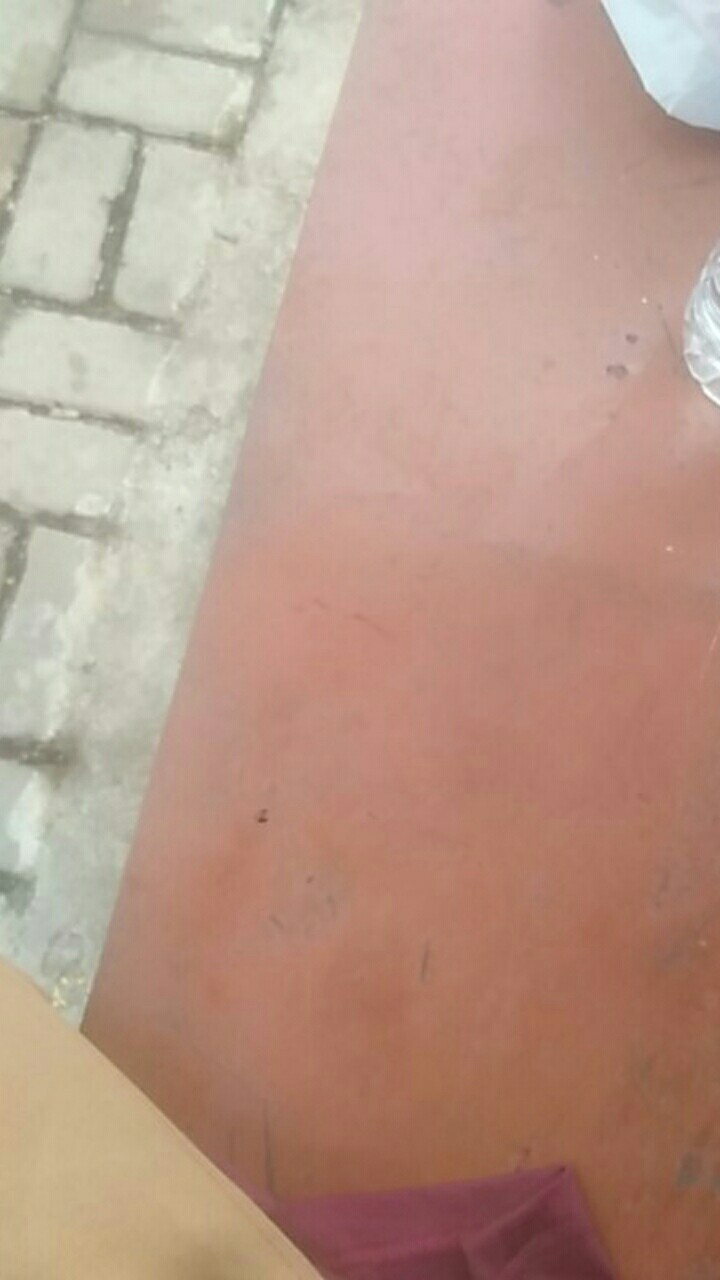 Wt Kaos Warna Owl Batik Tshirt Distro M L Xl