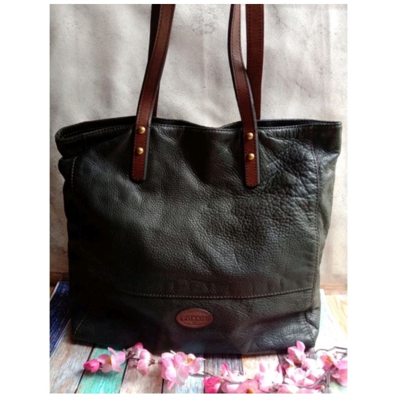 tas authentic fossil preloved