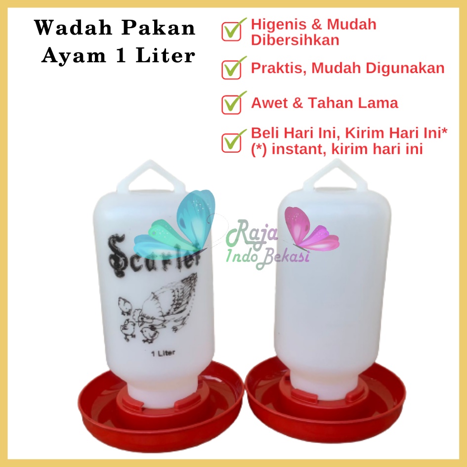 Tempat Makan Ayam Kapasitas 1 Liter 1 Kg SCARLET Wadah Pakan Ayam Anti Tumpah Ransum Wadah Makan Ayam Anakan Plastik 1 Kg - TEMPAT MAKAN AYAM / RANSUM / TRA1K MEDION KAPASITAS 1KG WADAH PAKAN BREEDING TERNAK ANAK AYAM RNS1KG