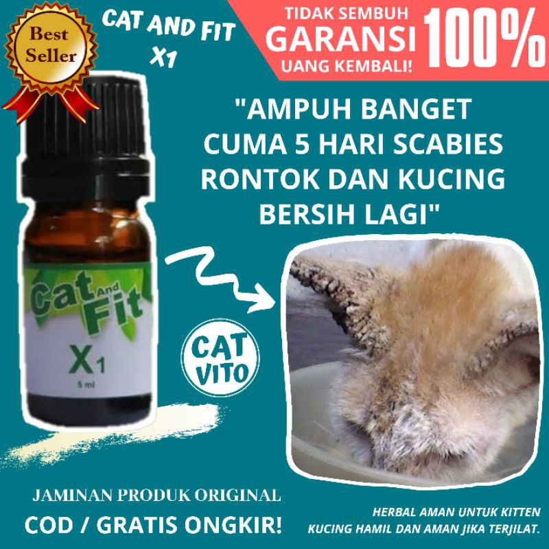 Jual OBAT SCABIES KUCING / OBAT JAMUR KERAK KUCING SCABIES CAT AND FIT