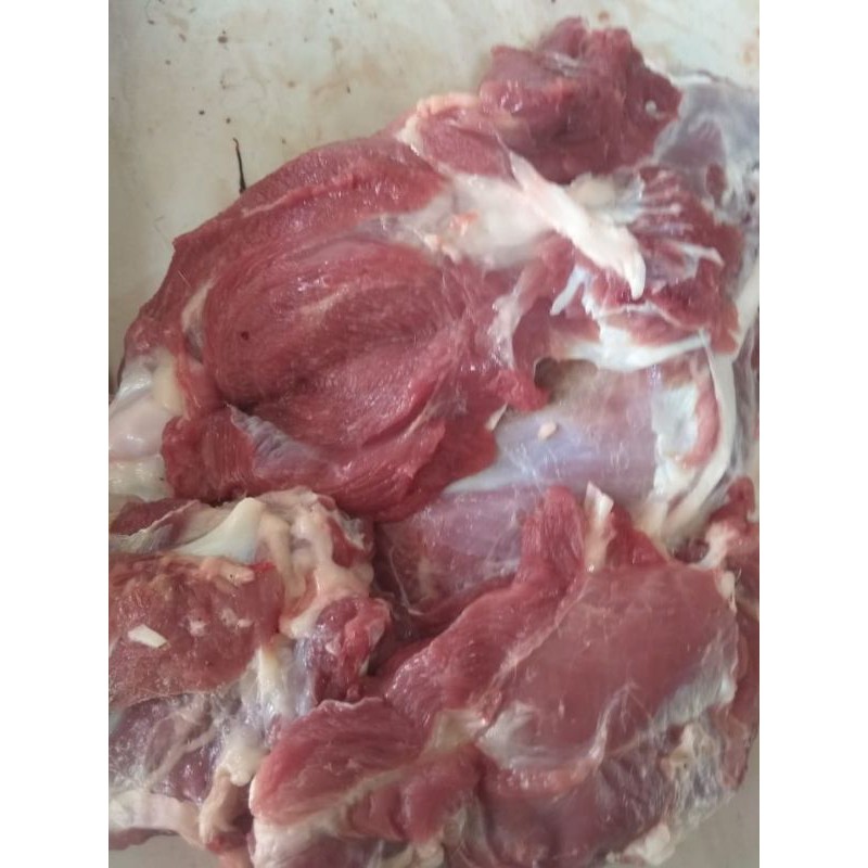 

Daging Kambing Muda 1/2Kg