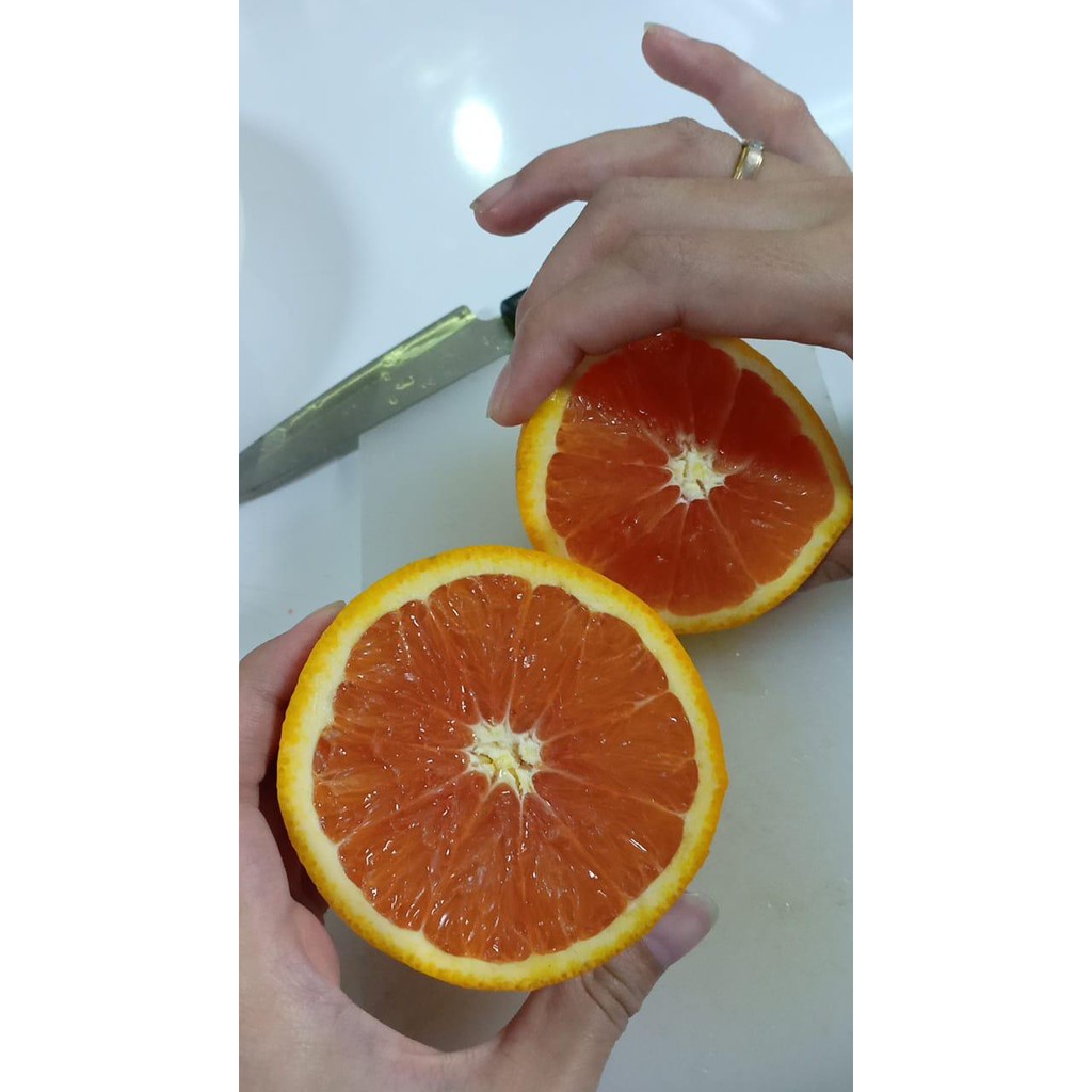 

Buah navel Orange Cara Cara USA