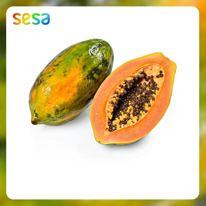 

Buah Pepaya /pcs Best Seller