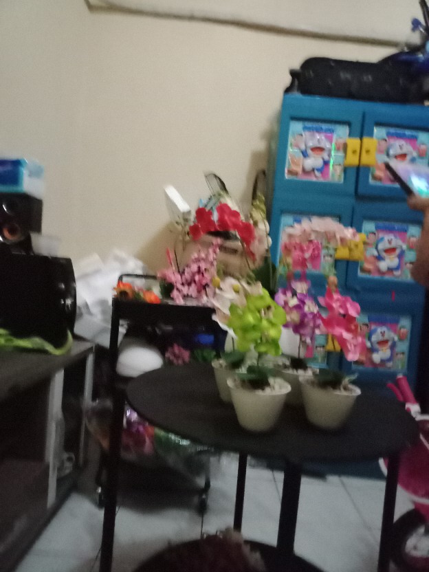 Bunga Mawar Kuncup