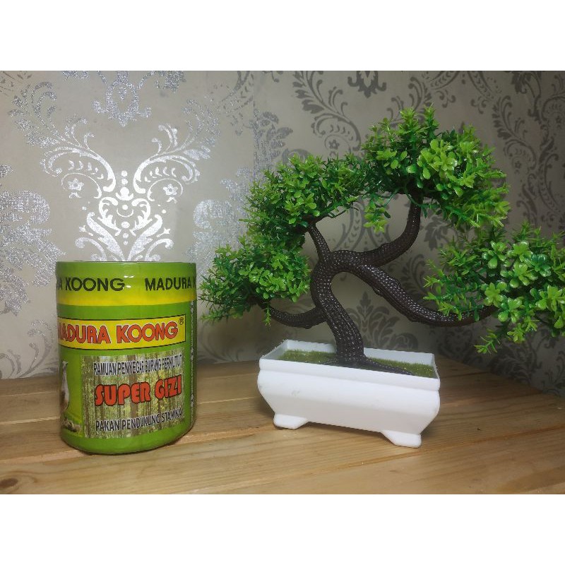 Pakan Burung Perkutut Madura Koong